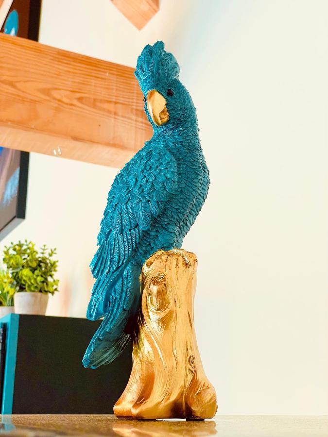 La Villa Perroquet Poncins المظهر الخارجي الصورة