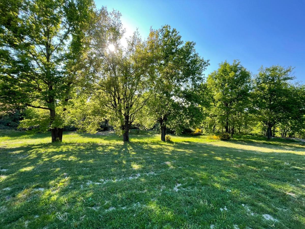 La Villa Perroquet Poncins المظهر الخارجي الصورة